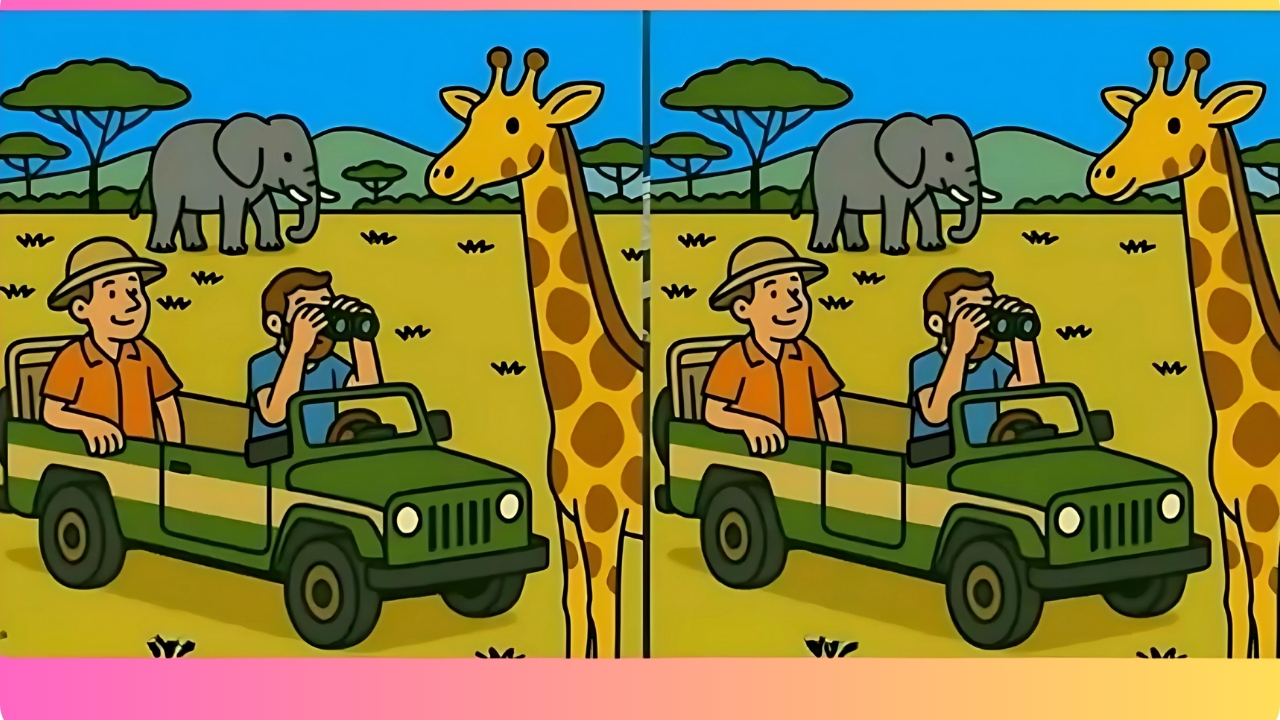 Jungle Quest Optical Illusions