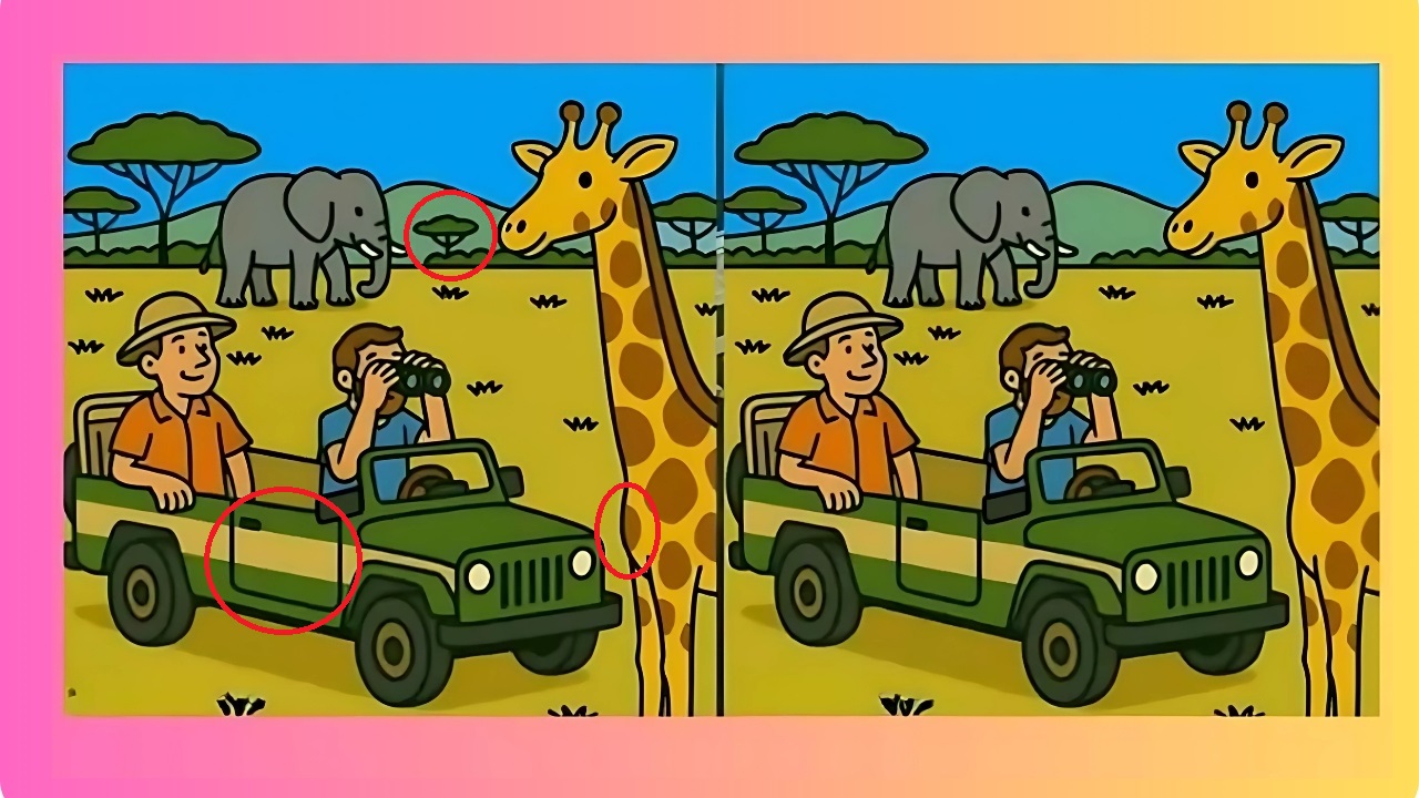 Jungle Quest Optical Illusions