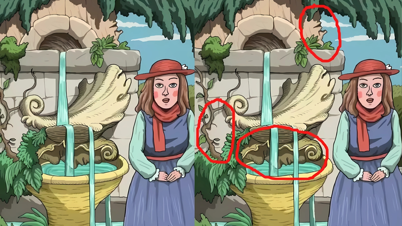 Optical Illusions